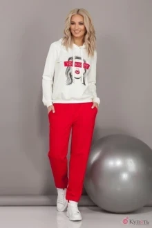 Спортивный костюм DilanaVIP 1493