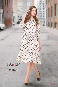 TAiER 843