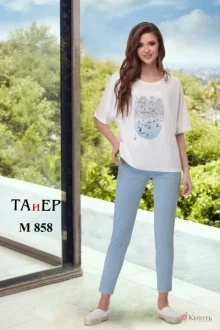 TAiER 858