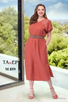 TAiER 859