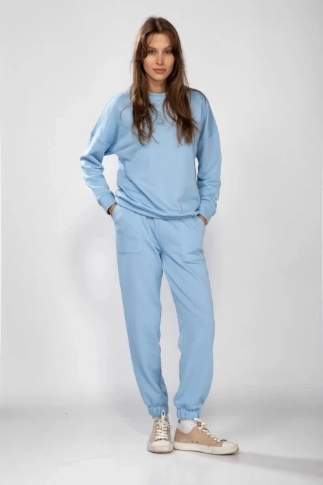 Джемпер (кофта) The name 2200B голубой #1