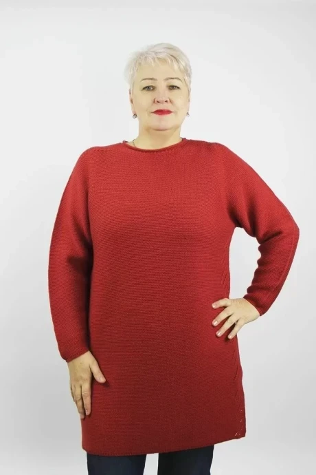 Джемпер (кофта) Полесье С1875-199С8524-Д43 красный минерал (рост 158, 164) #1