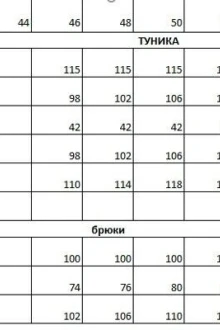 Иконка: Брючный костюм Euromoda 338 узкая полоса двойка #2