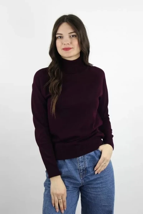 Джемпер (кофта) Полесье С3433-177С1582-Д43 ежевика (рост 170, 176) #1
