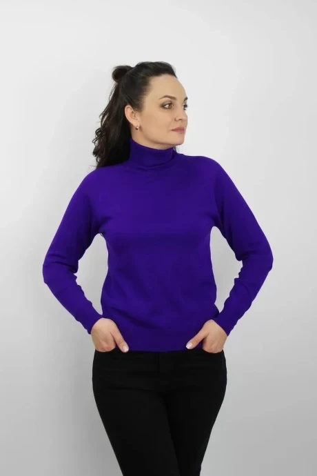 Джемпер (кофта) Полесье С3433-177С1582-Д43 фиолет (рост 158, 164) #1