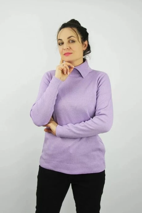 Джемпер (кофта) Полесье С3703-222С5275-Д43 лиловый (рост 158, 164) #1