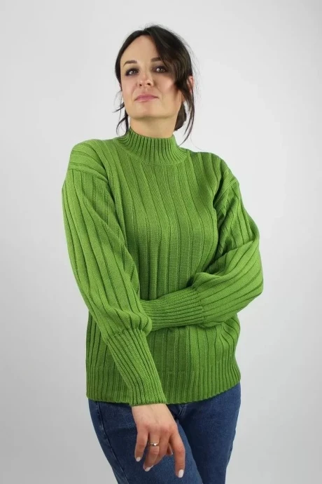Джемпер (кофта) Полесье С3682-222С5255-Д43 васаби #1