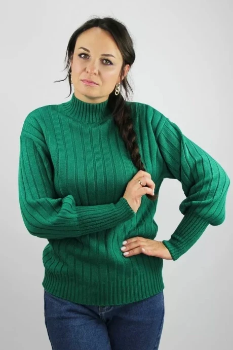 Джемпер (кофта) Полесье С3682-222С5255-Д43 зеландия #1
