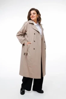 Anelli 1419