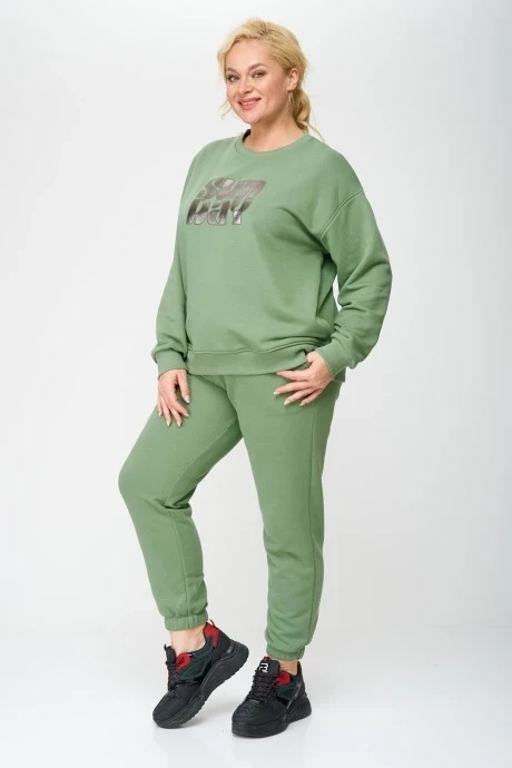 Спортивный костюм *Распродажа Aleza 1123.1 #1