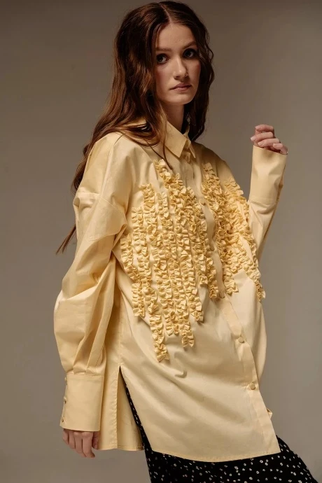 Рубашка FLAIM 1046 #1