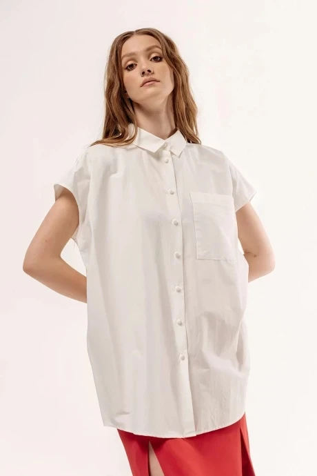 Рубашка FLAIM 1058 #1