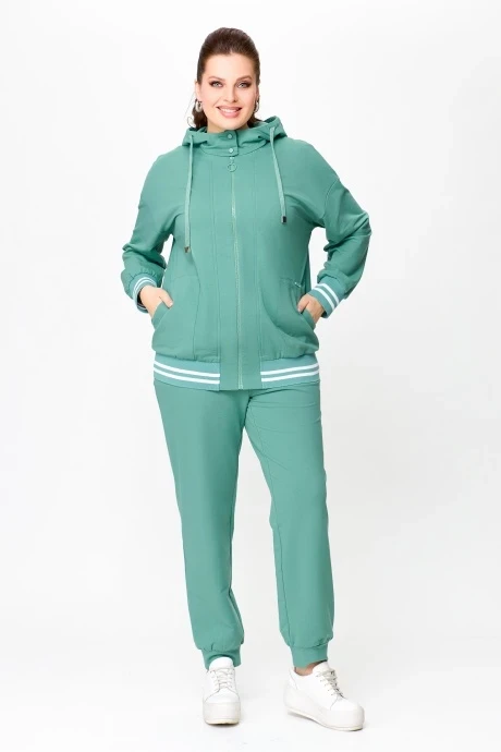Спортивный костюм Swallow 704.1 двойка #1