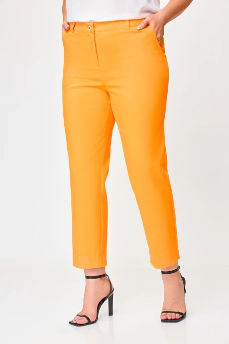 Брюки Swallow 746 #1