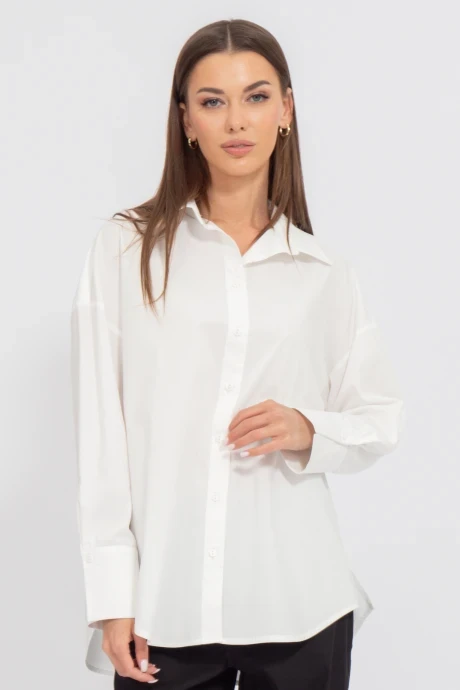 Рубашка Kivviwear 4199.02 #1