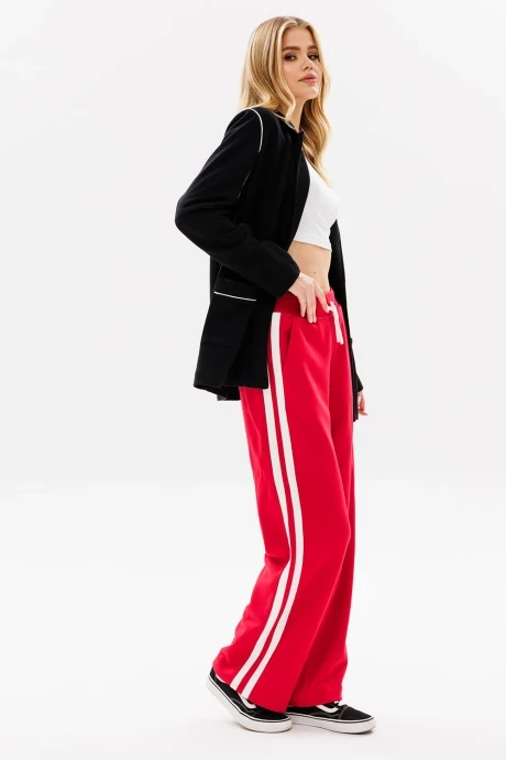 Брюки GO f2010L/11-02 красный #1