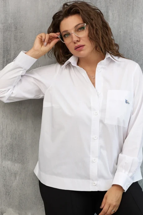 Рубашка BegiModa 4107 #1
