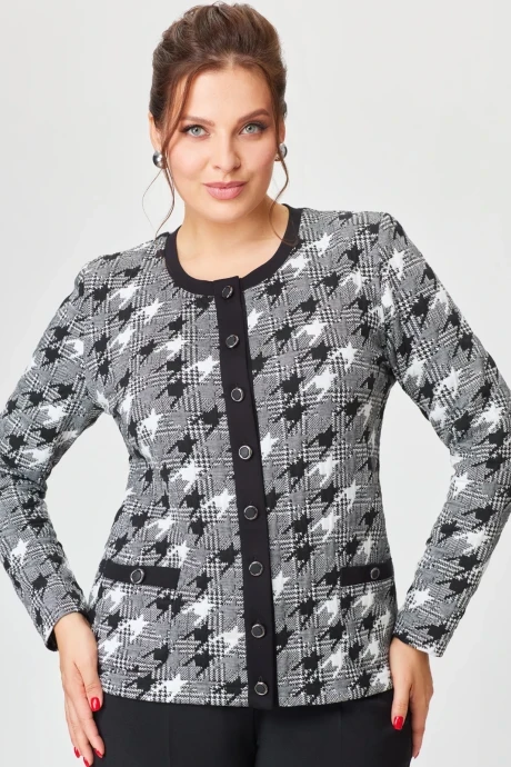 Джемпер (кофта) Дали 333Ф ч/б гусин. лапка #1