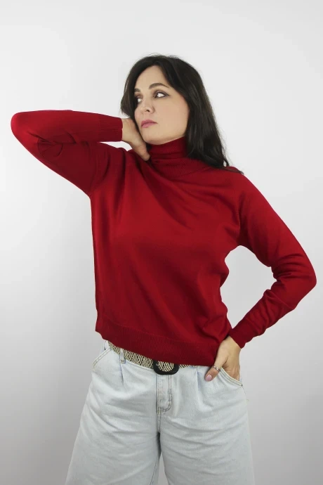 Джемпер (кофта) Полесье С3433-17 7С1582-Д43 170,176 вишневый #1