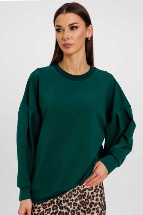 Джемпер (кофта) Kivviwear 4232.03 #1