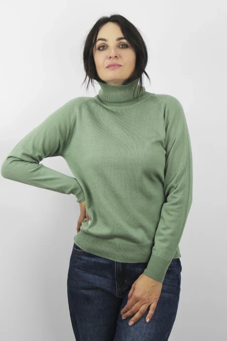 Джемпер (кофта) Полесье С3433-17 7С1582-Д43 158,164 молодой_кактус #1