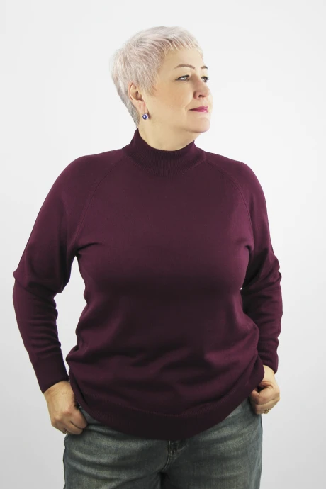 Джемпер (кофта) Полесье С3316-15 5С1754-Д43 158,164 зимняя_вишня #1