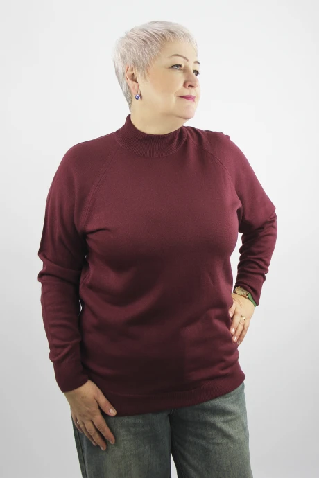 Джемпер (кофта) Полесье С3316-15 5С1754-Д43 158,164 ликер #1