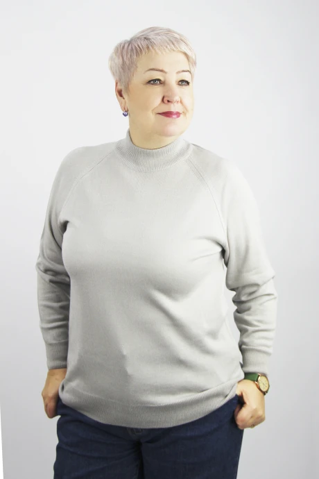 Джемпер (кофта) Полесье С3316-15 5С1754-Д43 158,164 серый_гранит #1