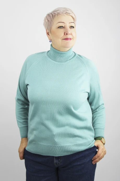 Водолазка Полесье С3433-17 7С1582-Д43 170,176 св.порселайн #1