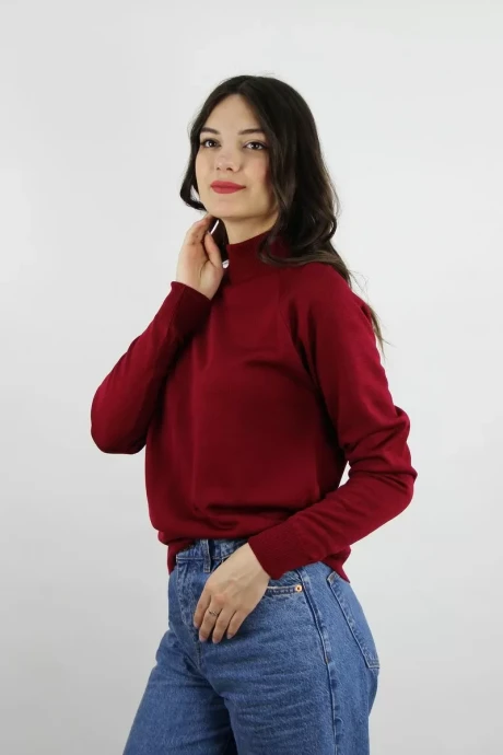 Джемпер (кофта) Полесье С3316-15 5С1754-Д43 170,176 георгин #1