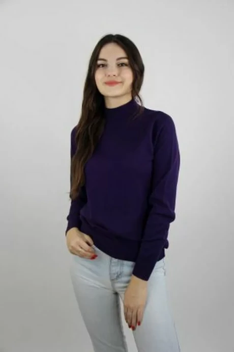 Джемпер (кофта) Полесье С3316-155С1754-Д43 Черничный (рост 158, 164) #1