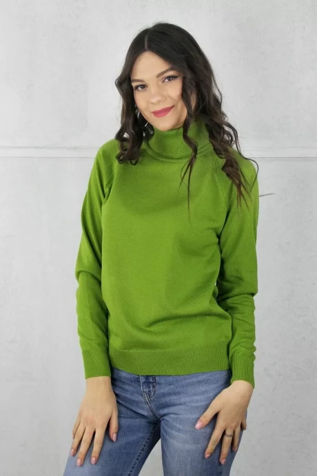 Джемпер (кофта) Полесье С3433-17 7С1582-Д43 158,164 васаби #1