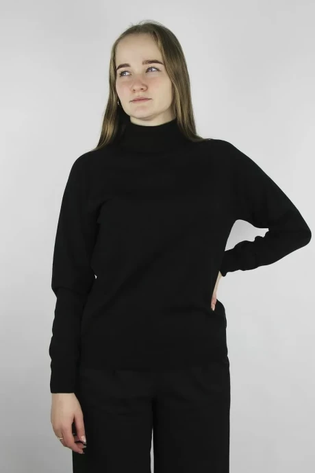 Водолазка Полесье С3433-17 7С1582-Д43 158,164 глубокий_черный #1