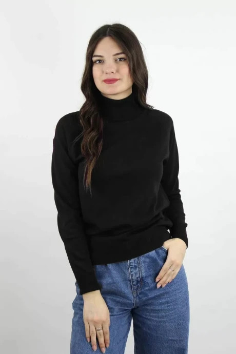 Водолазка Полесье С3433-17 7С1582-Д43 170,176 глубокий_черный #1