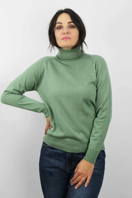 Джемпер (кофта) Полесье С3433-17 7С1582-Д43 170,176 молодой_кактус #1