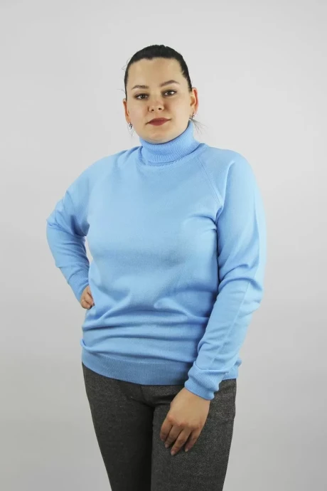 Водолазка Полесье С3433-17 7С1582-Д43 170,176 перванш #1