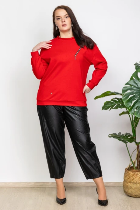 Джемпер (кофта) Camelia 2440/1 #1