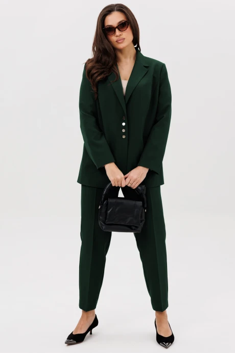 Брючный костюм Vilena Fashion 1009 двойка бутылка #1