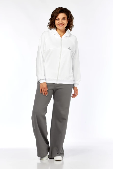 Спортивный костюм Diamant 2095 серый #1