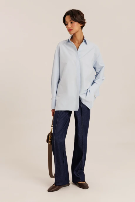 Блузка DILIA 6.003_2 голубой #1