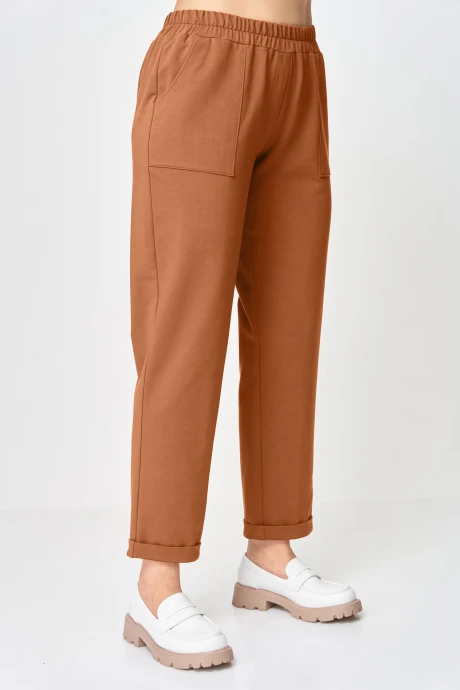 Брюки Rumoda 2260 коричневый #1