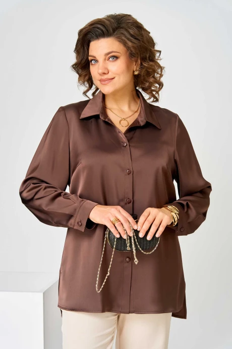 Блузка Асолия 4104 коричневый #1