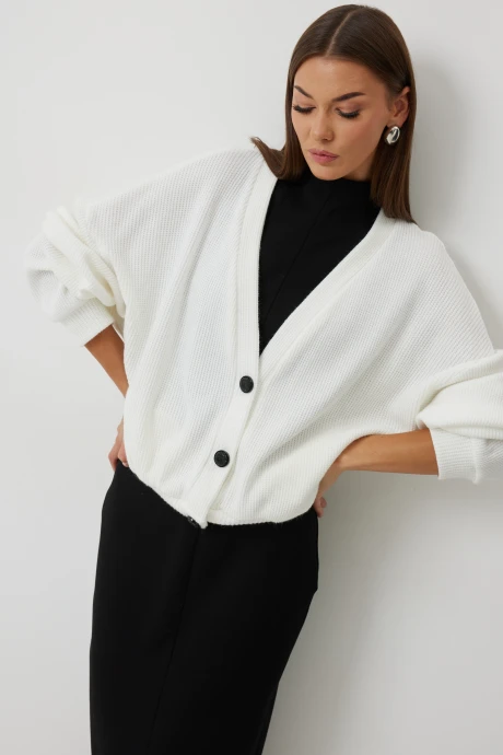 Джемпер (кофта) V&N Fashion 1089 молочный #1