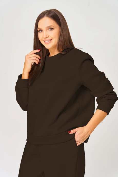 Свитшот V&N Fashion 1066 шоколад #1