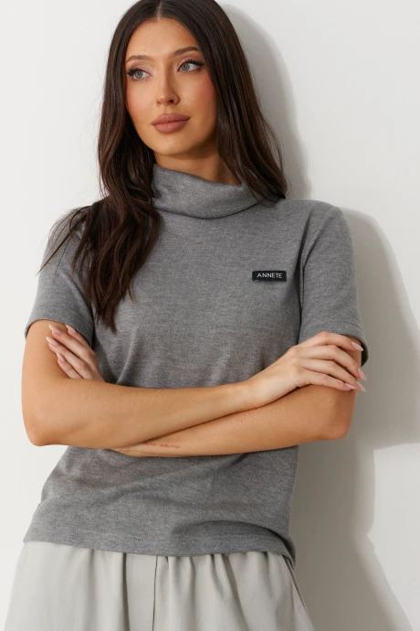 Джемпер (кофта) ANNETE A2418/1 #1