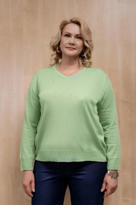Джемпер (кофта) Полесье С1366-22 2С5161-Д43 170,176 аркадия #1