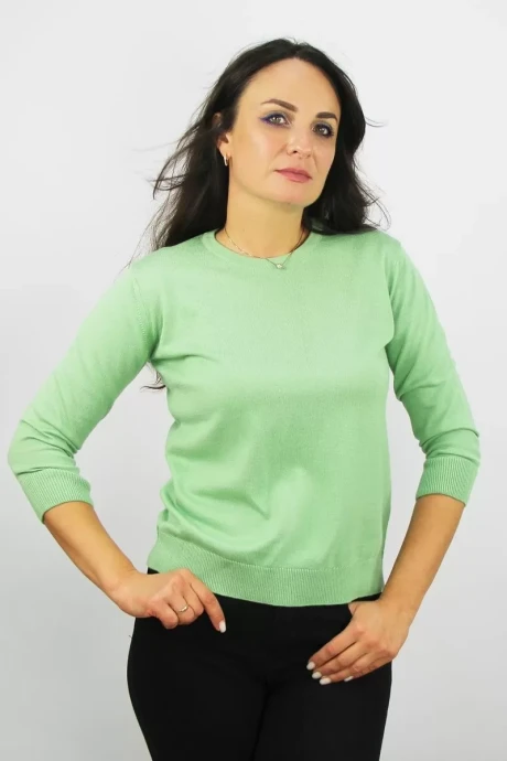 Джемпер (кофта) Полесье С1528-23 3С3076-Д43 158,164 киви #1
