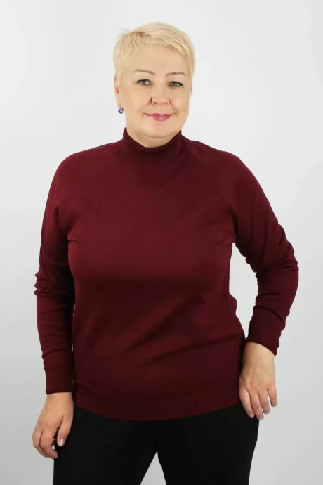 Джемпер (кофта) Полесье С3316-15 5С1754-Д43 158,164 св.бордовый #1