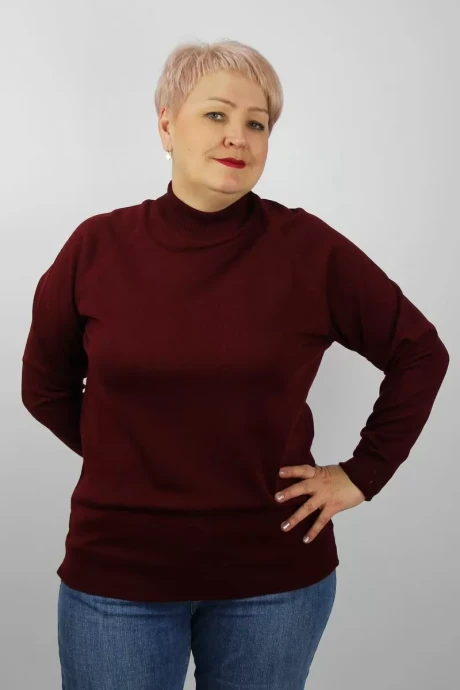Джемпер (кофта) Полесье С3316-15 5С1754-Д43 170,176 бордовый #1