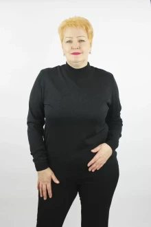 Джемпер (кофта) Полесье С3632-21 1С1230-Д43 158,164 черный_антрацит
